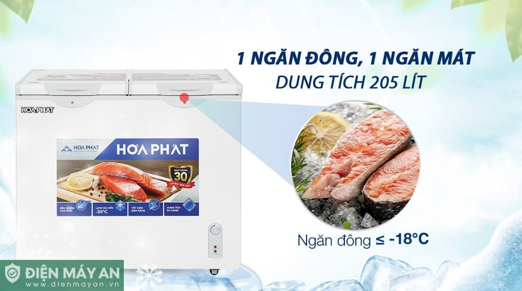 Tủ đông Hòa Phát 205 Lít HPF BD6205